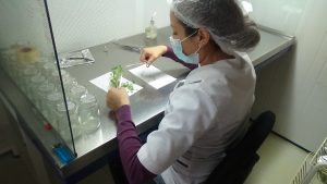 Laboratorio In-Vitro Ltda